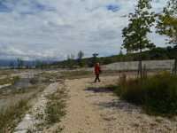 Ökologischer Ausgleich in der Landwirtschaft