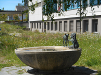 Ökologischer Ausgleich in der Landwirtschaft