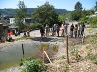 Ein neuer Lebensraum für Amphibien