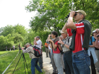 Vögel und ihre Lebensräume